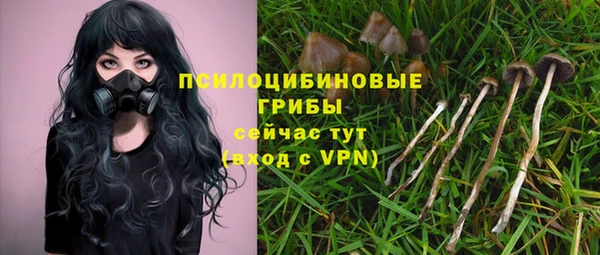 стаф Гусев