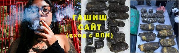 стаф Гусев